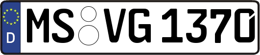MS-VG1370