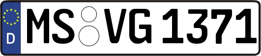 MS-VG1371