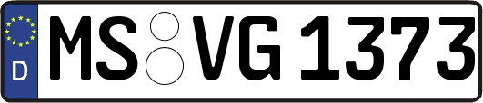 MS-VG1373