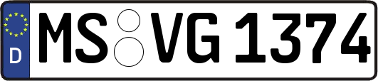 MS-VG1374