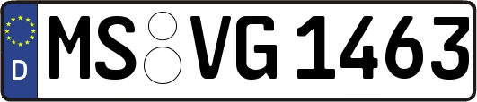MS-VG1463