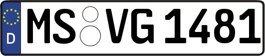 MS-VG1481