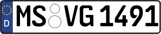 MS-VG1491