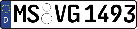 MS-VG1493