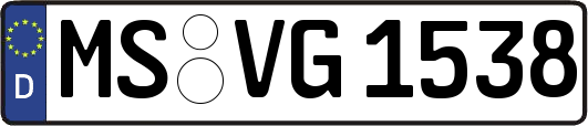 MS-VG1538