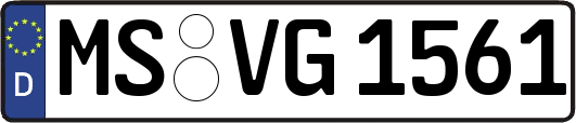 MS-VG1561