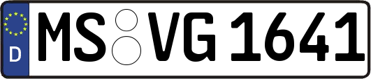 MS-VG1641