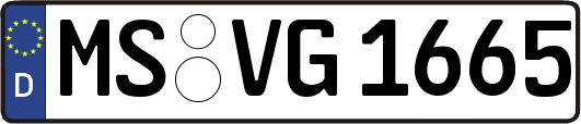 MS-VG1665