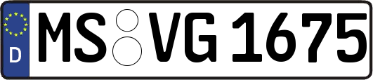 MS-VG1675