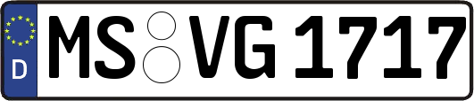 MS-VG1717