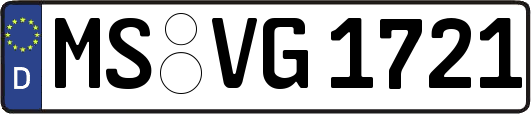 MS-VG1721