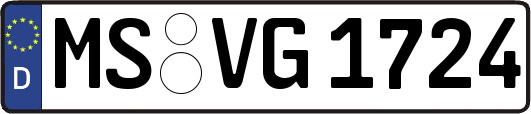 MS-VG1724