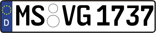 MS-VG1737