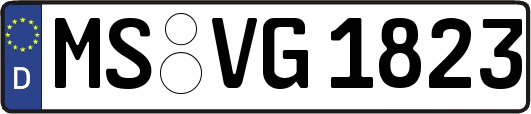 MS-VG1823