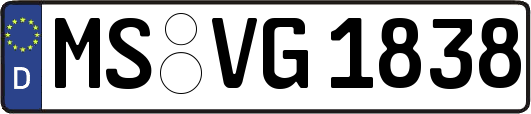 MS-VG1838