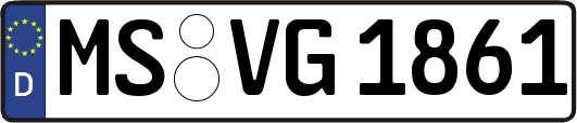 MS-VG1861