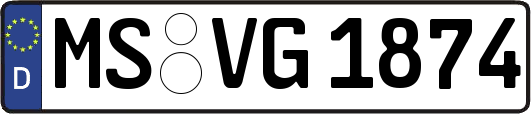 MS-VG1874