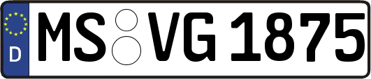 MS-VG1875