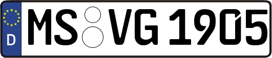 MS-VG1905