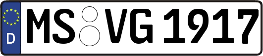 MS-VG1917