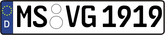 MS-VG1919
