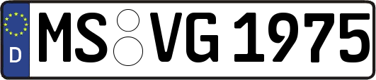 MS-VG1975