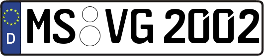 MS-VG2002