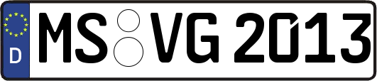 MS-VG2013