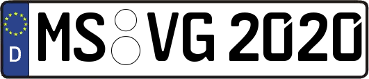 MS-VG2020