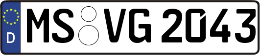 MS-VG2043