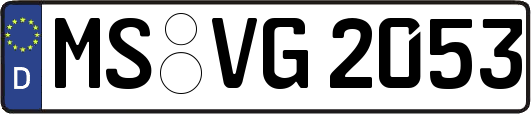 MS-VG2053