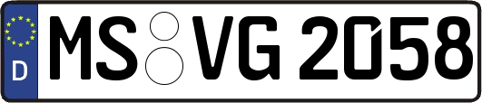 MS-VG2058