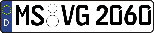 MS-VG2060