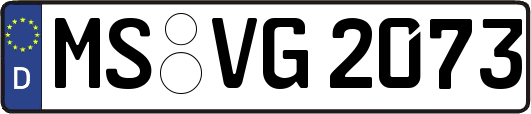 MS-VG2073