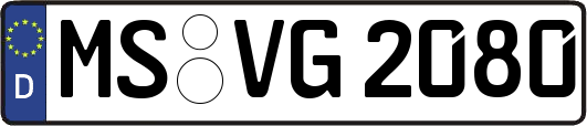 MS-VG2080