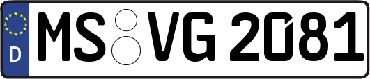 MS-VG2081