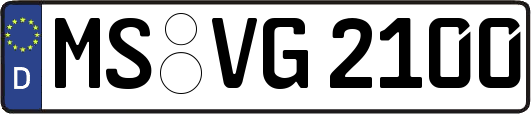 MS-VG2100