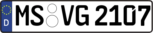 MS-VG2107