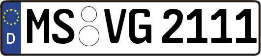 MS-VG2111