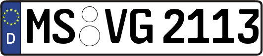 MS-VG2113