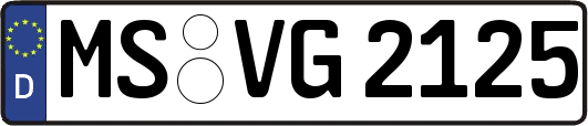 MS-VG2125