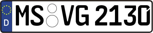 MS-VG2130