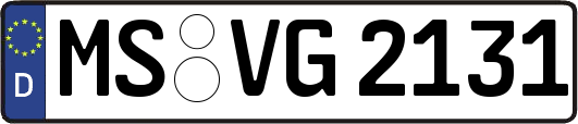 MS-VG2131