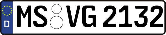 MS-VG2132