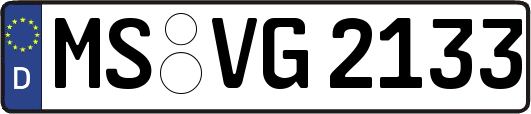 MS-VG2133