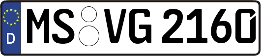 MS-VG2160