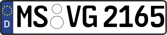 MS-VG2165