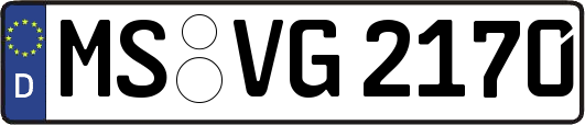 MS-VG2170