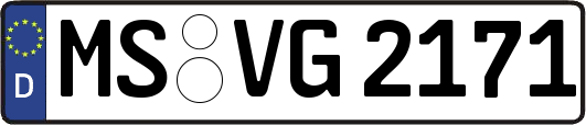 MS-VG2171