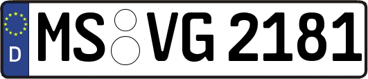 MS-VG2181